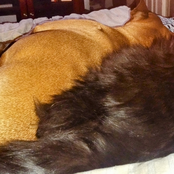 Meet your Posher, Mark - Picture 2 of 2